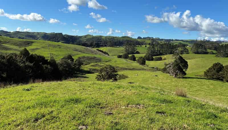  Paparoa Road, Mangapai