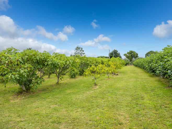 32 Ohinewai North Road, Ohinewai