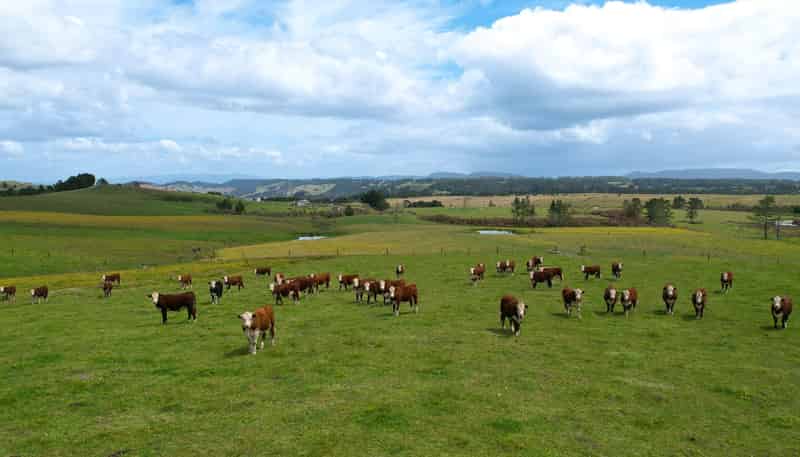 194 Toia Road, Okaihau