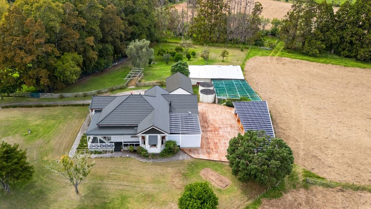 Family Villa in Waitoki - Widok 3
