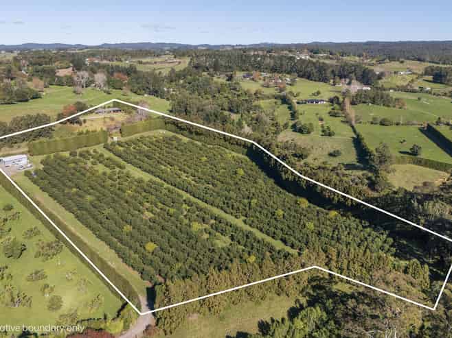 480C Youngson Road, Whakamarama
