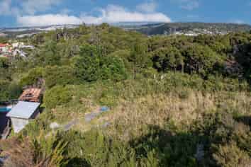 31 Living Stream Road, Albany Heights