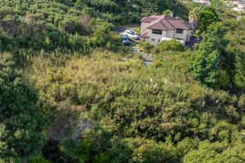 31 Living Stream Road, Albany Heights