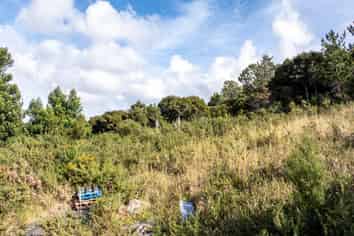 31 Living Stream Road, Albany Heights