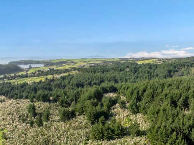 Village 2/& Balance Land, Ara Weiti Road, Hibiscus Coast Surrounds