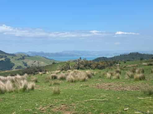 Adventure tourism, ready to revive