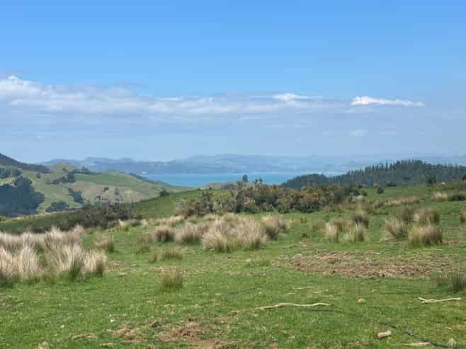 Adventure tourism, ready to revive