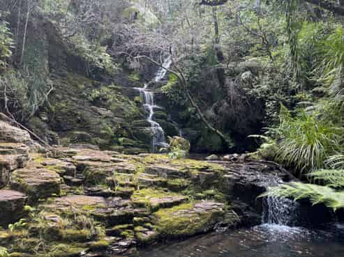 Adventure tourism, ready to revive