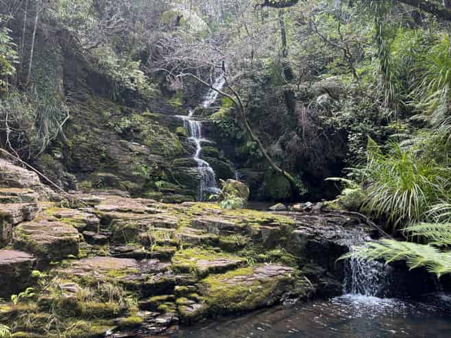 Adventure tourism, ready to revive