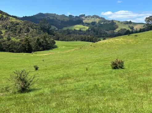 Adventure tourism, ready to revive