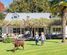 1 Grasmere Way, Bethlehem, Tauranga, Bay of Plenty