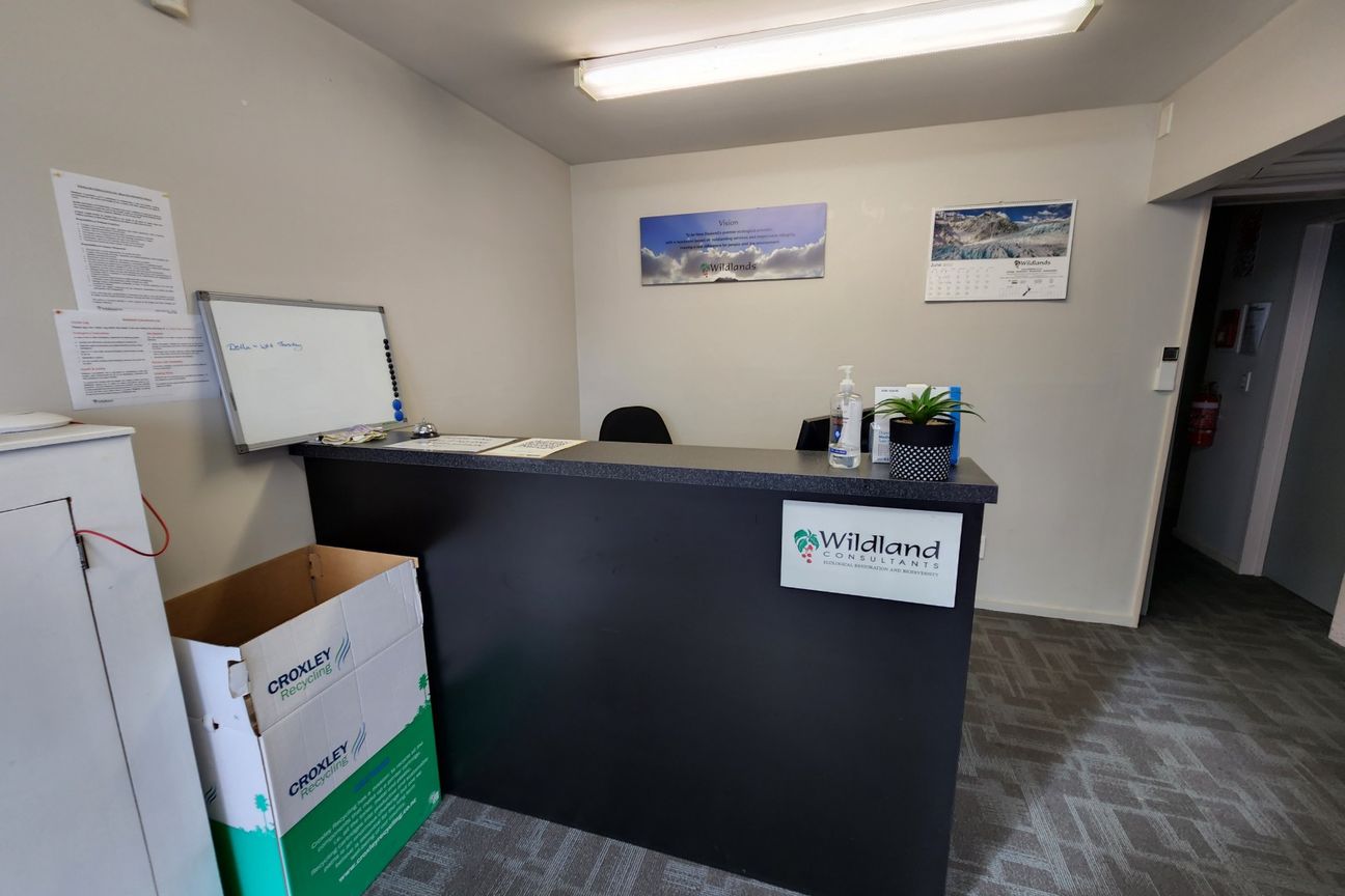 Functional Office and Warehouse in Sockburn - Aanzicht 5