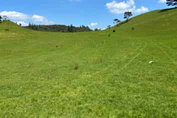 928 Kuaotunu-Wharekaho Road, Whitianga
