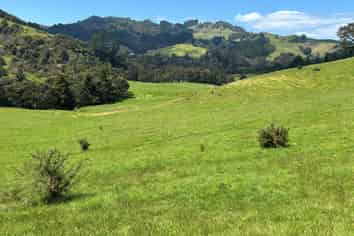 928 Kuaotunu-Wharekaho Road, Whitianga