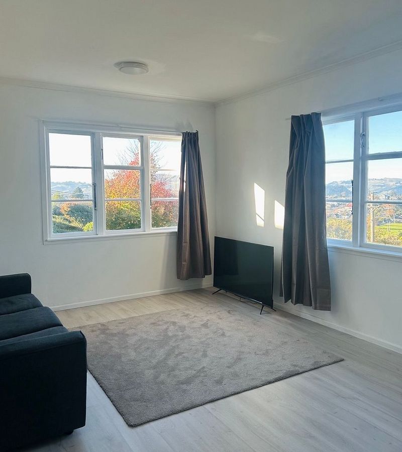 Sunny 2-bedroom home with heat pumps in Wakari, Wakari
