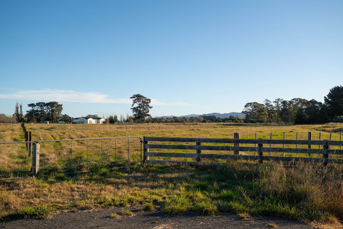 Two Sections. One Exceptional Location. - Ansicht 6