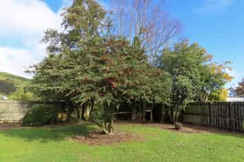 35 Cavell Street, Reefton