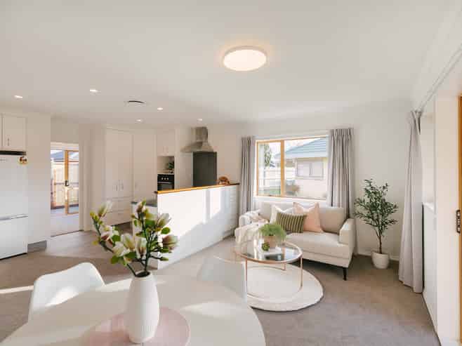 6 Foxtail Fern, Kelvin Grove