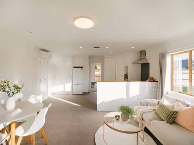 6 Foxtail Fern, Kelvin Grove