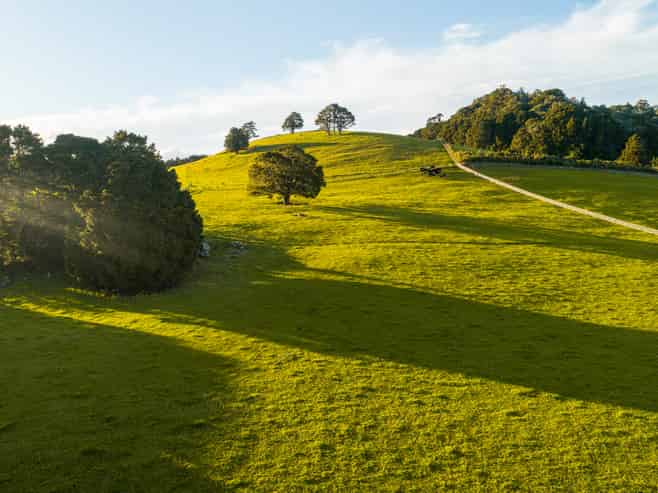 Lots 1 - 17 Huanui Rise, Glenbervie