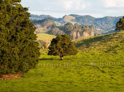 Lots 1-17 Huanui Rise, Glenbervie