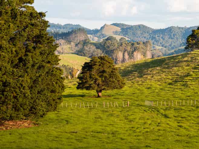 Lots 1 - 17 Huanui Rise, Glenbervie