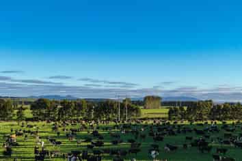 846 Pioneer Highway + 116 and 172 Ota Creek Road, Edendale
