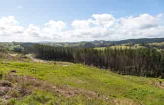 Lot 5/197 Wishart Road, Helensville