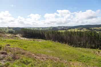 Lot 5/197 Wishart Road, Helensville
