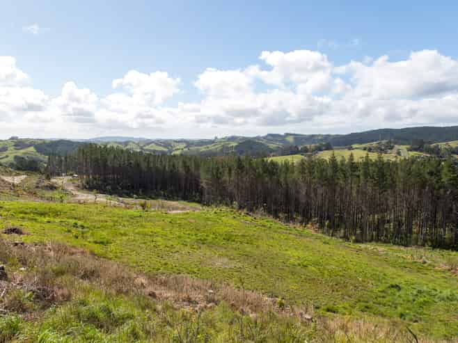 Lot 5/197 Wishart Road, Helensville