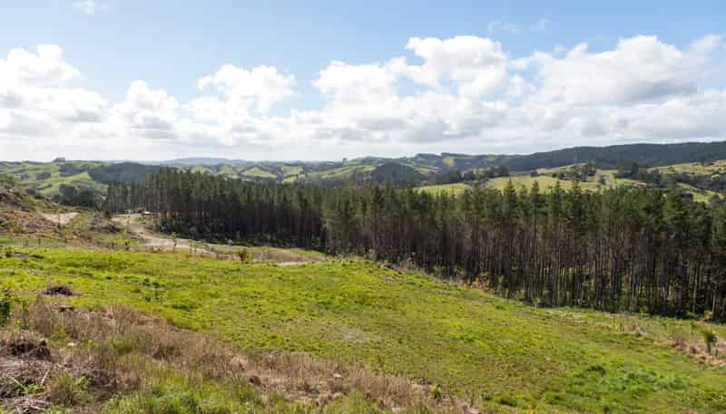 Lot 5/197 Wishart Road, Helensville