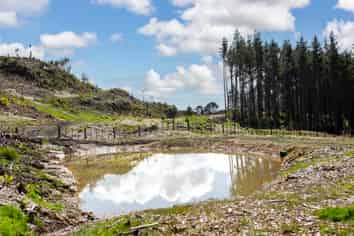 Lot 5/197 Wishart Road, Helensville