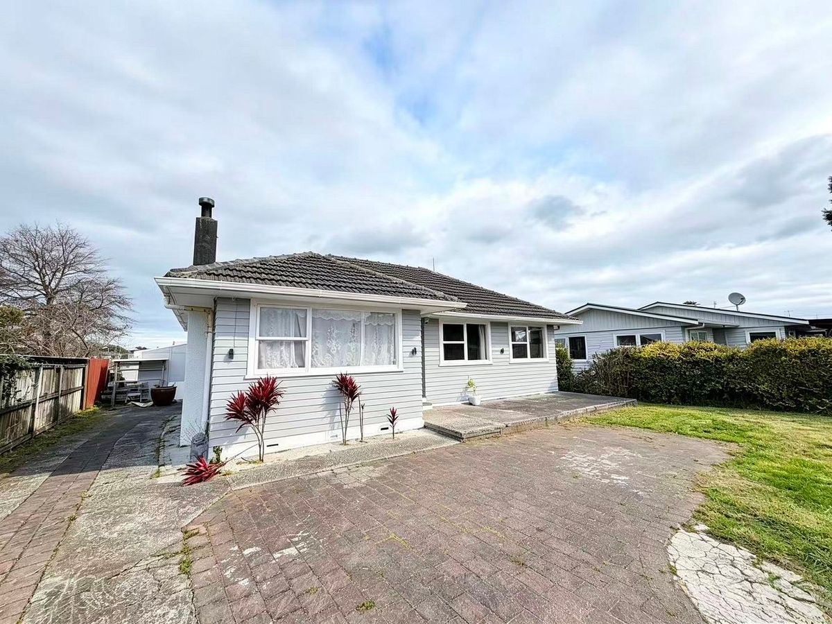 Spacious Family Home on Large Section - Widok 2