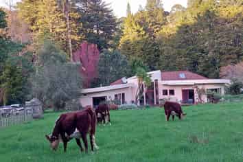 270 Maunu Road, Horahora