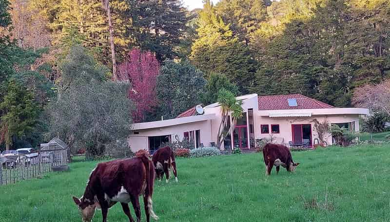 270 Maunu Road, Horahora
