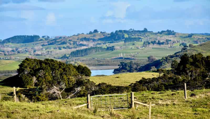 54  Syd Smith Road, Topuni