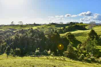 54  Syd Smith Road, Topuni