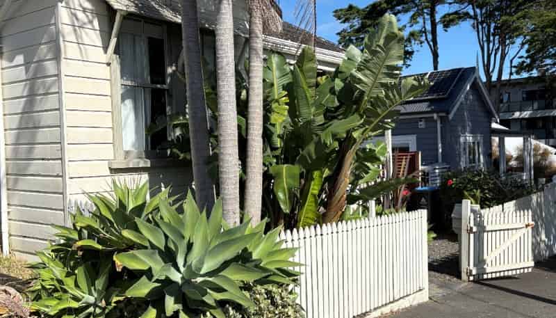 238 Richmond Road, Grey Lynn