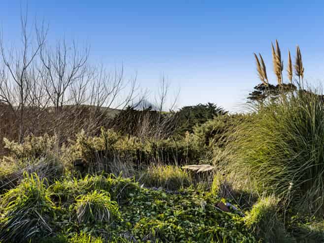54 Livingston Road, Tokaora