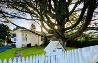 16 Whitehaven Road, Glendowie