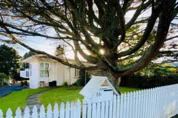 16 Whitehaven Road, Glendowie