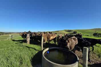 Lot 7 Mititai Road, Dargaville