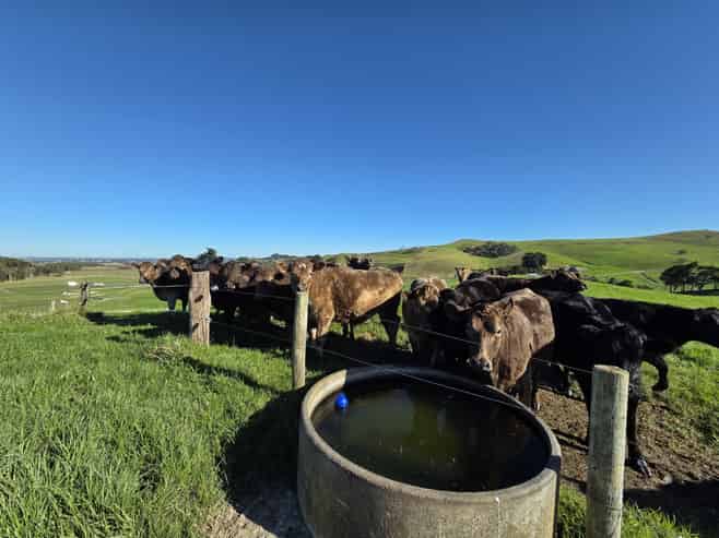 Lot 7 Mititai Road, Dargaville