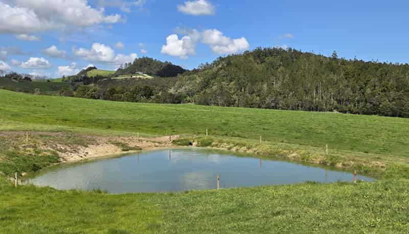 Lot 7 Mititai Road, Dargaville