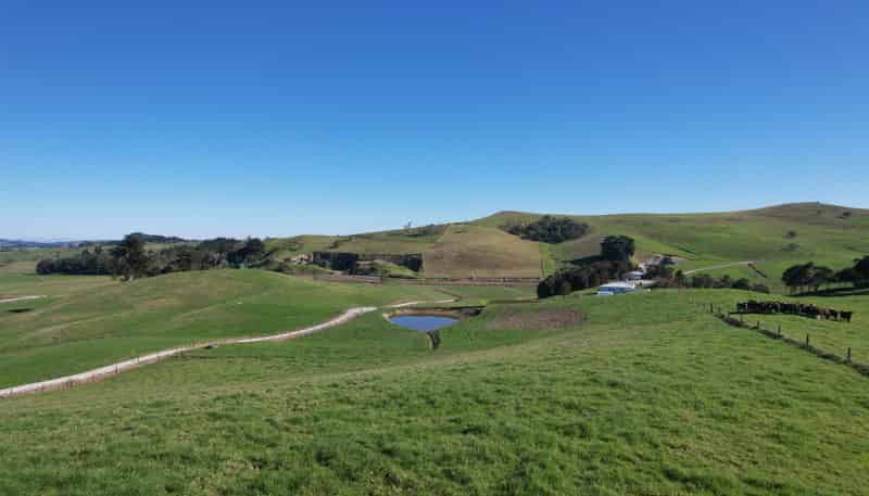 Lot 7 Mititai Road, Dargaville