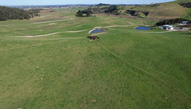 Lot 7 Mititai Road, Dargaville