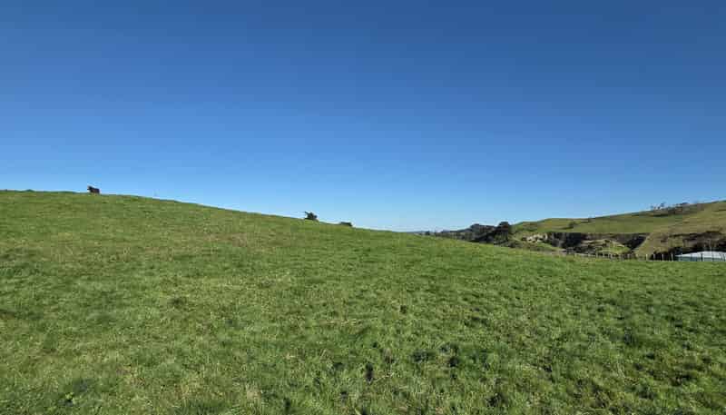 Lot 7 Mititai Road, Dargaville