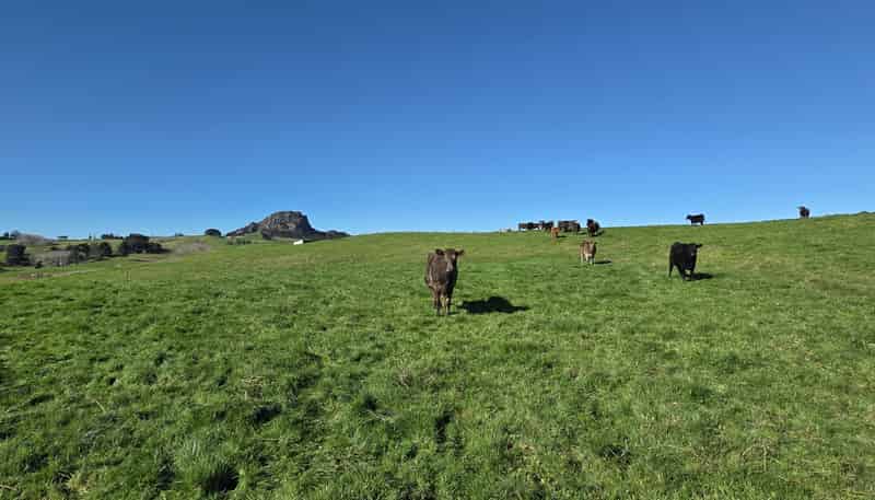 Lot 7 Mititai Road, Dargaville