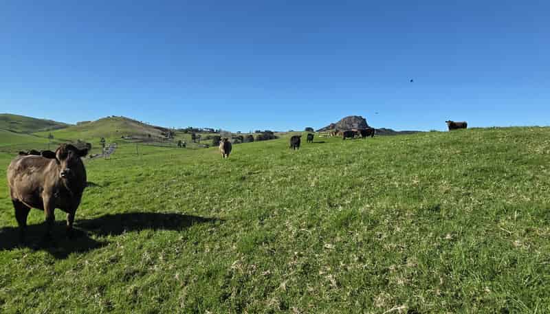 Lot 7 Mititai Road, Dargaville