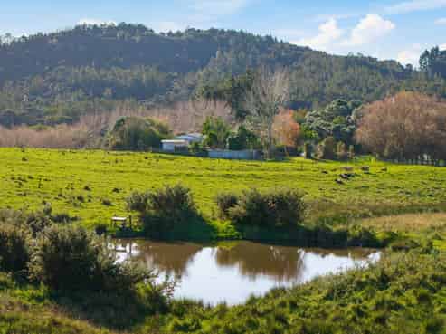 391 Pine Valley Road, Dairy Flat